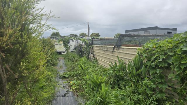 梓官農地-4