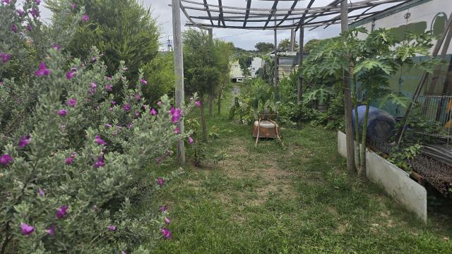 梓官農地-5