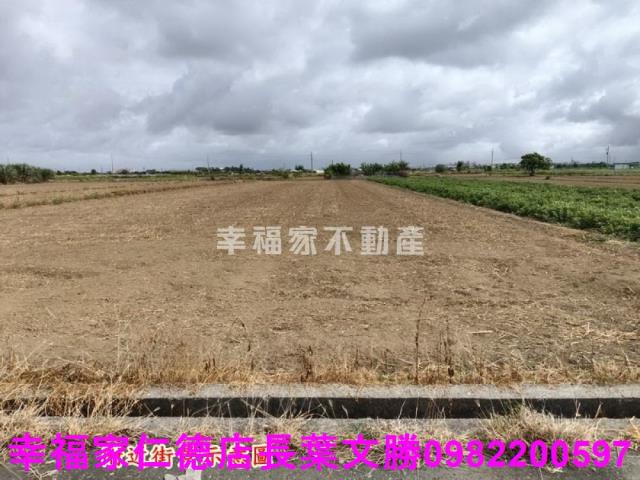 佳里農地-13