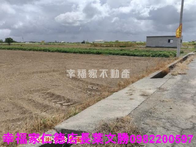 佳里農地-14