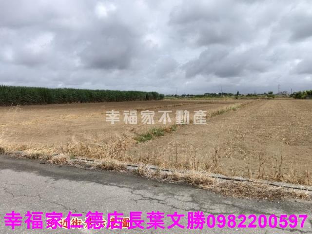 佳里農地-20