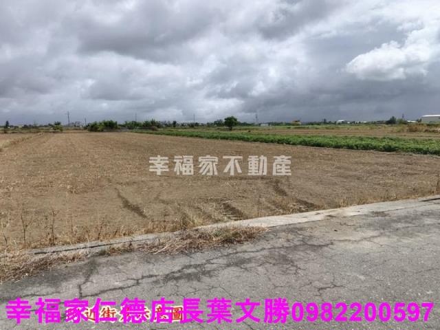 佳里農地-3