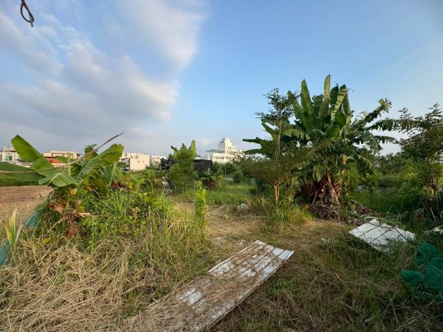 西區建地-3