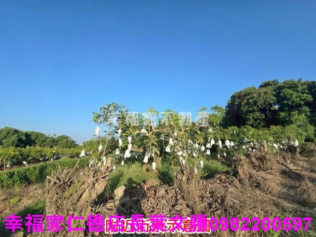 官田農地-19