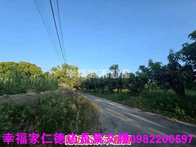 官田農地-8