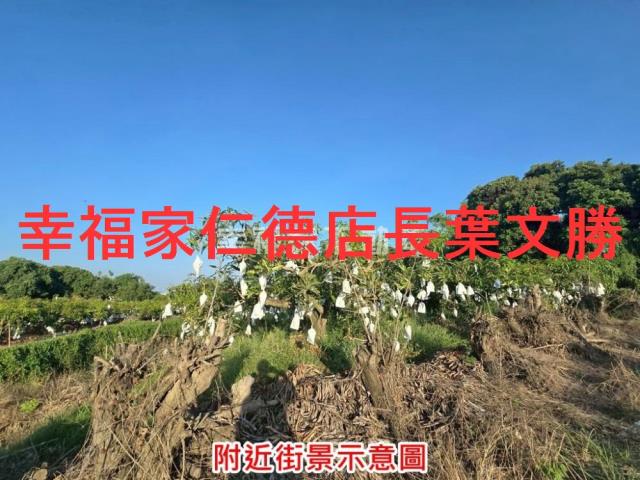 台南農地-13