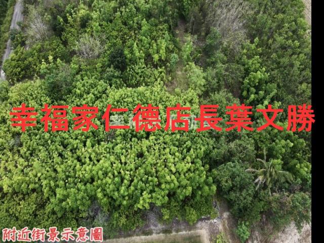 台南農地-2