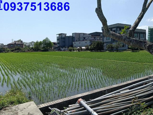 宜蘭農地-4