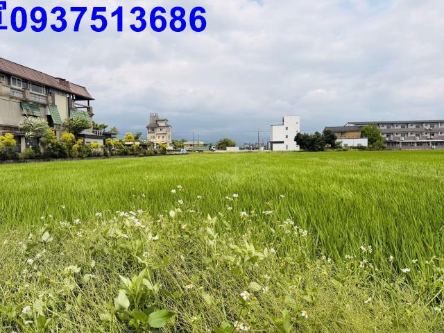 宜蘭農地-3