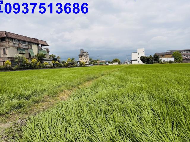 宜蘭農地-7