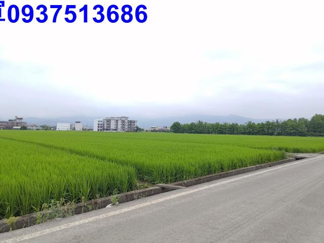 宜蘭農地-4