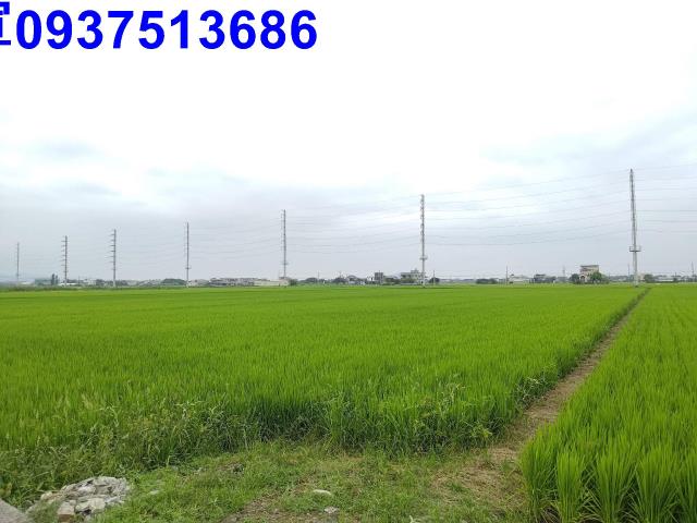 宜蘭農地-5