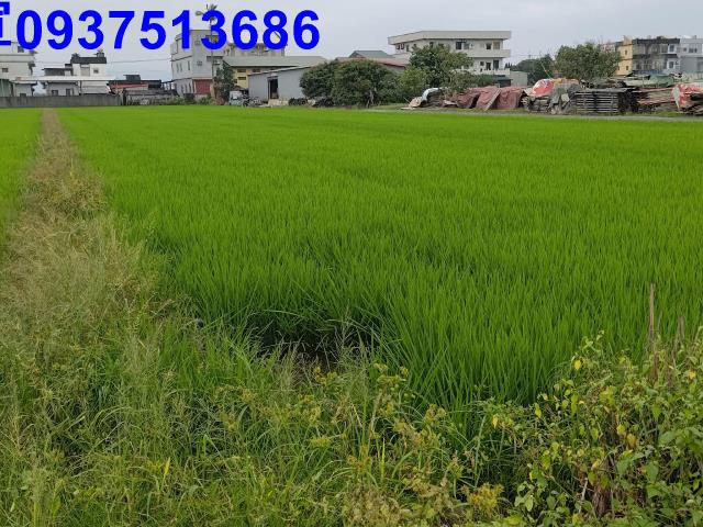宜蘭農地-6