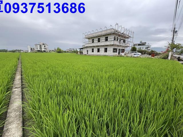 宜蘭員山農地-2