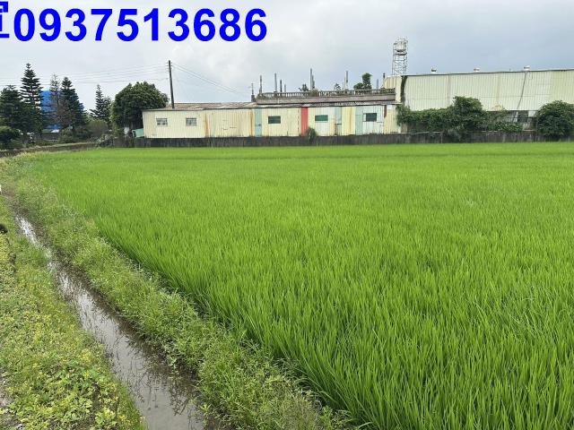 宜蘭宜蘭市農地-12