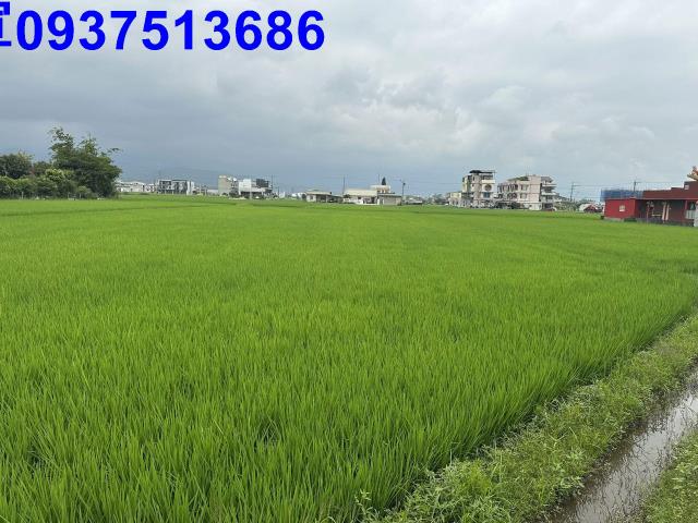 宜蘭宜蘭市農地-4