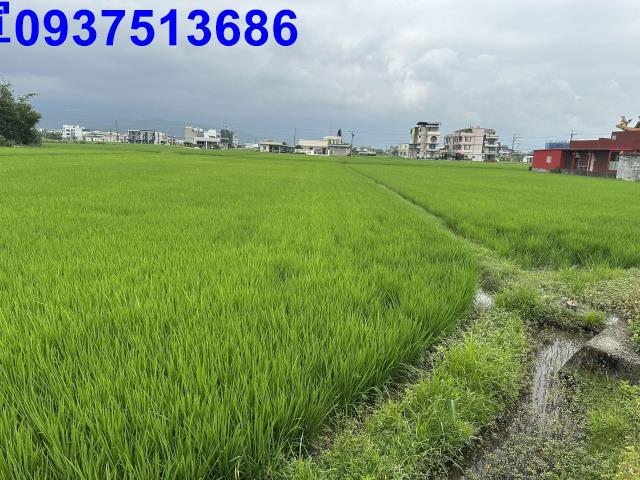 宜蘭宜蘭市農地-5