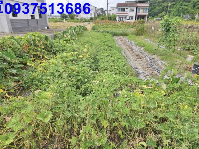 宜蘭員山農地-6