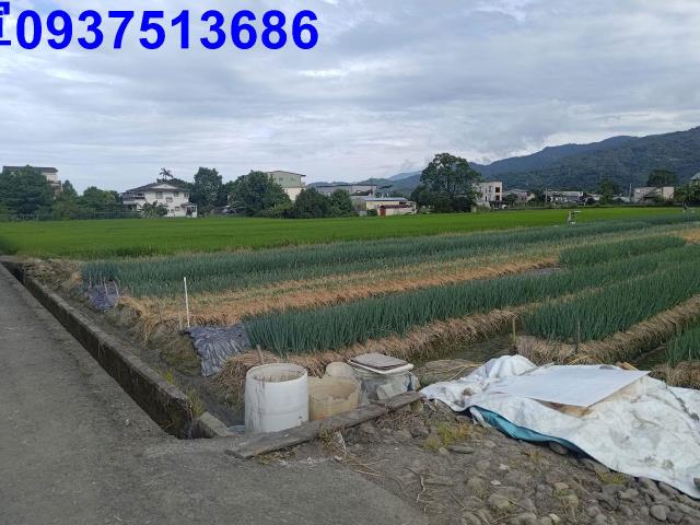 宜蘭三星農地-8