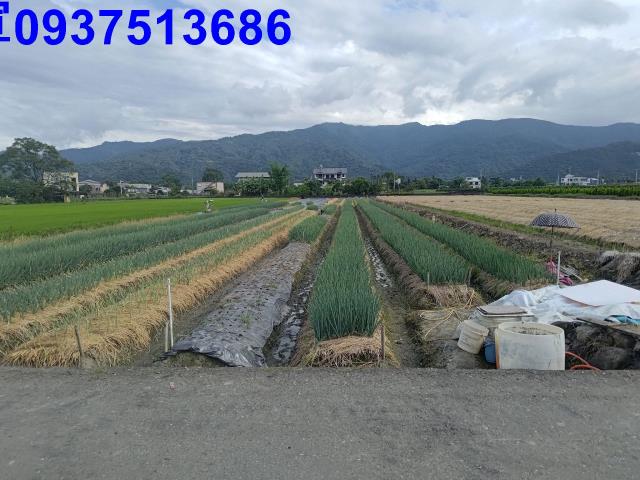 宜蘭三星農地-9