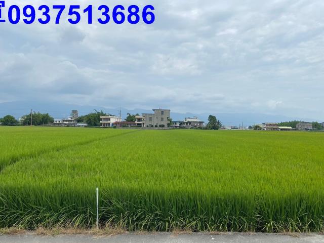 壯圍農地-5
