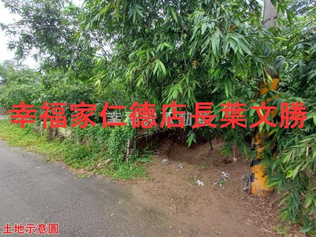 歸仁農地-16