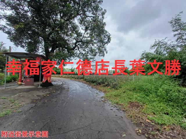 歸仁農地-24