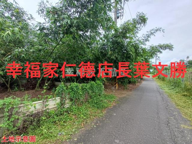 歸仁農地-6