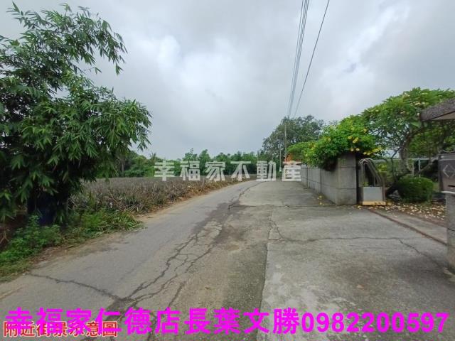 歸仁農地-11