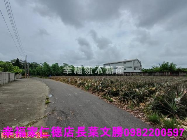 歸仁農地-1