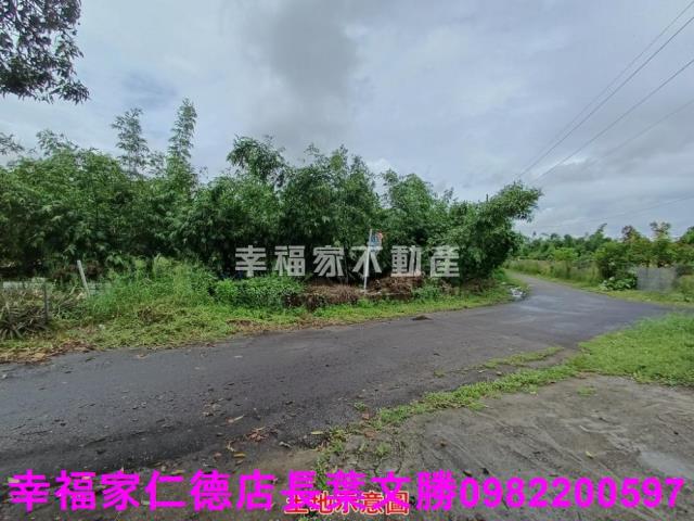歸仁農地-7