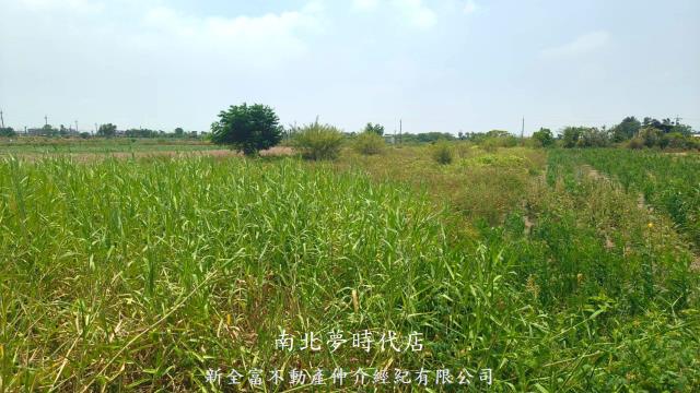 新營農地-2