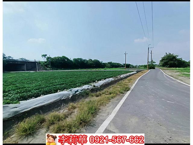 新市農地-7