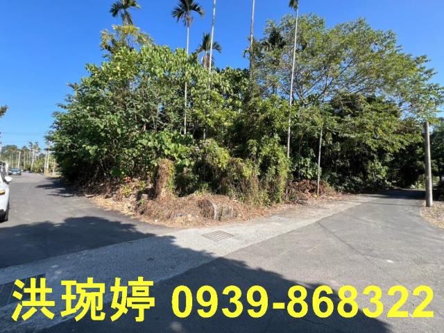 南投住宅地-3
