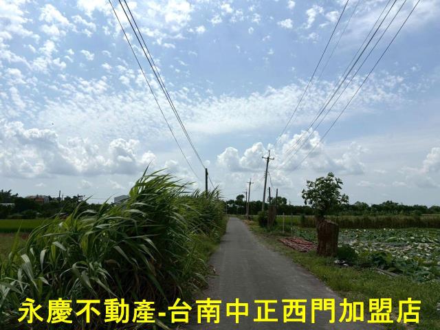 台南農地-11