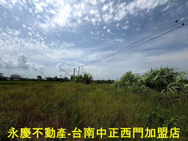 台南農地-4