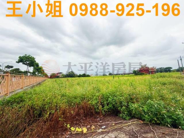 桃園中壢農地-3