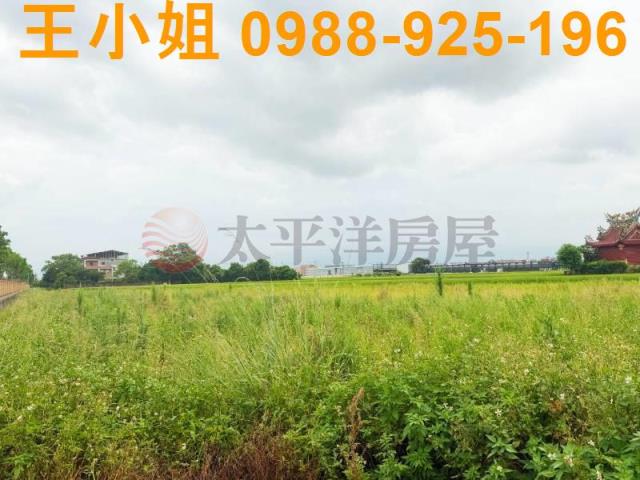 桃園中壢農地-5