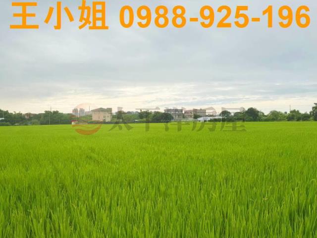桃園中壢農地-6