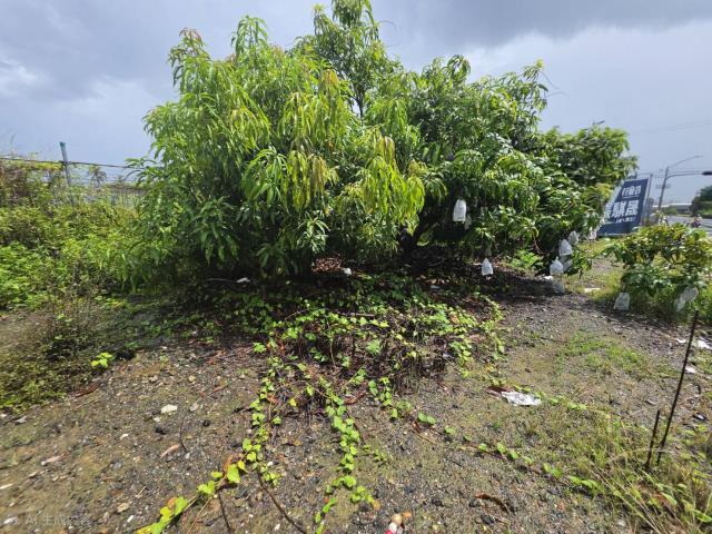 高雄岡山農地-6