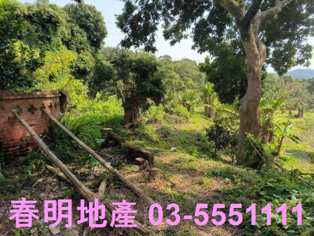 新竹竹東工業地-3