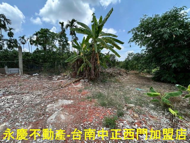 台南白河建地-11