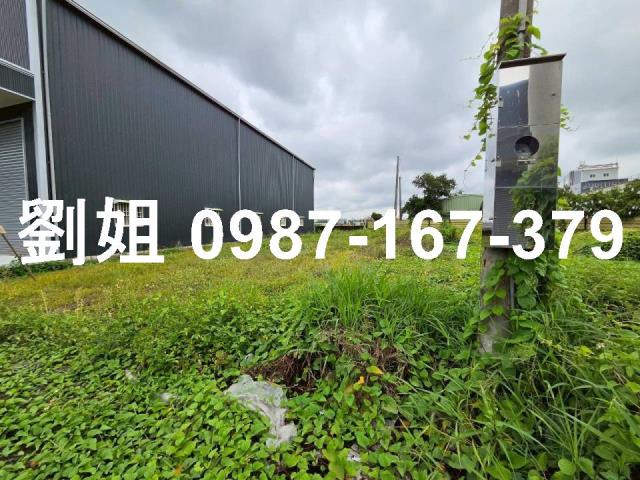 湖內農地-2