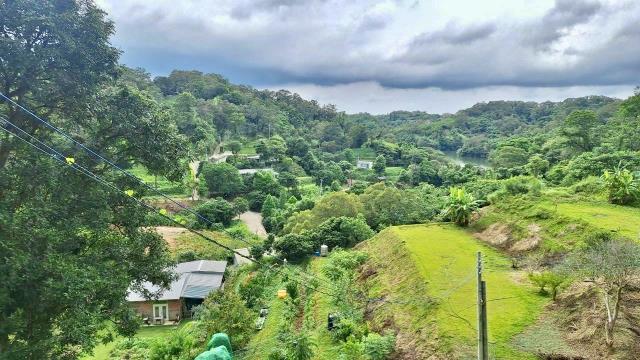 寶山山坡地_休閒地_林地-11