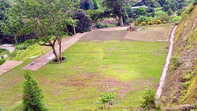 寶山山坡地_休閒地_林地-12
