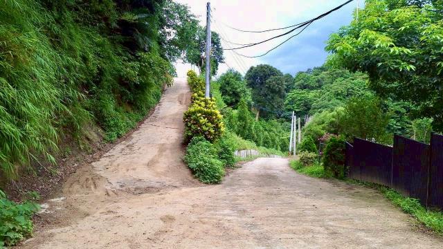 寶山山坡地_休閒地_林地-15