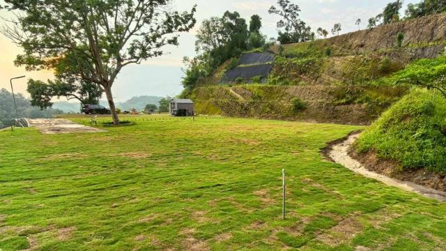 寶山山坡地_休閒地_林地-3