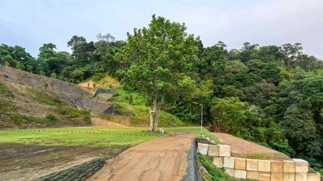 寶山山坡地_休閒地_林地-4