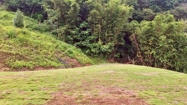 寶山山坡地_休閒地_林地-7