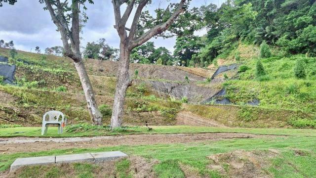 寶山山坡地_休閒地_林地-8